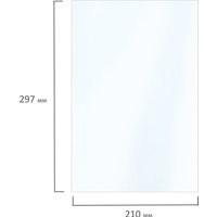 Фотобумага BRAUBERG А4 160 г/м2 50 л глянцевая 363984 (белый) в Гомеле