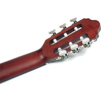 Акустическая гитара Valencia VC213 TWR