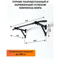 Турник Absolute Champion Aktiv Maх АЧ 11638 (черный/черные ручки)