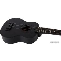 Укулеле Flight NUS310 Blackbird