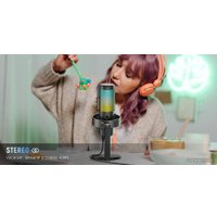 Проводной микрофон FIFINE A9 (черный)