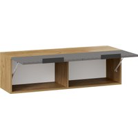 Шкаф-купе Трия Хилтон 1100 (дуб крафт золотой/графит матовый) в Гомеле