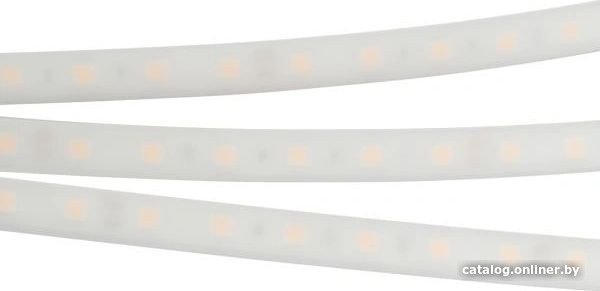 Светодиодная лента Arlight RTW-PW-B60-13mm 24V Day4000 016181(2)