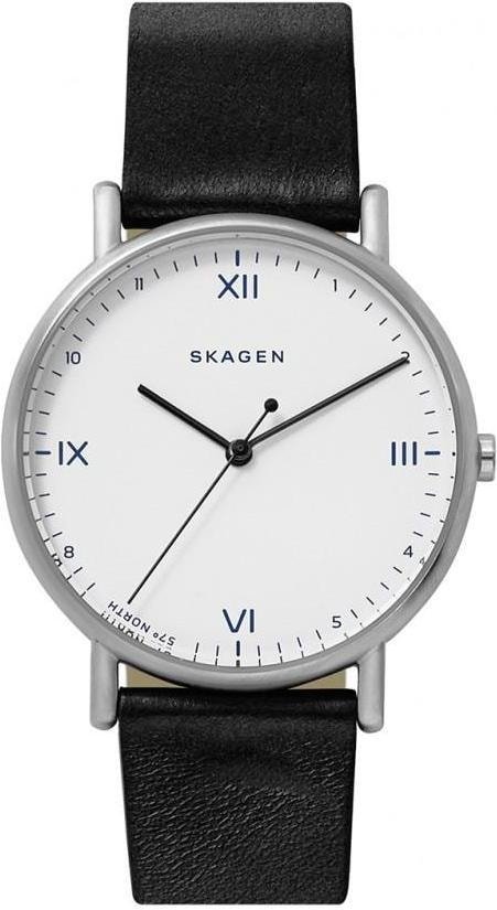 

Наручные часы Skagen SKW6412