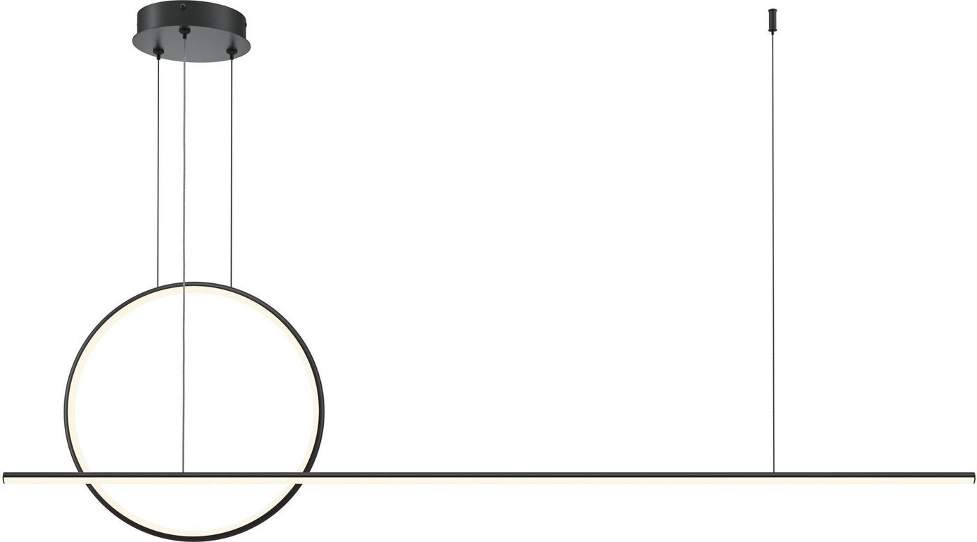 

Подвесная люстра Maytoni Halo MOD247PL-L49BK