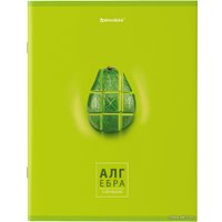 Тетрадь предметная BRAUBERG Avocado 404325 (10шт)