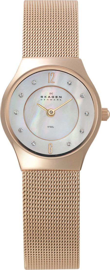 Наручные часы Skagen 233XSRR