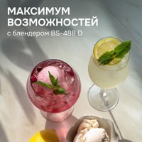 Стационарный блендер Zigmund & Shtain BS-488 D