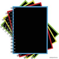 Общая тетрадь Erich Krause Accent 120 л клетка 53390