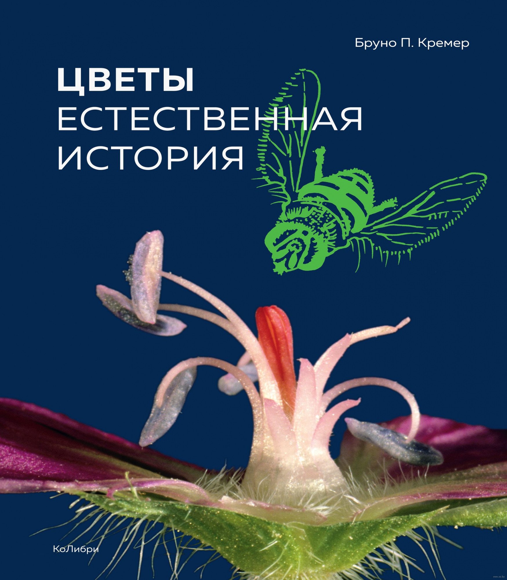 

Книга издательства КоЛибри. Цветы. Естественная история (Кремер Б.П.)