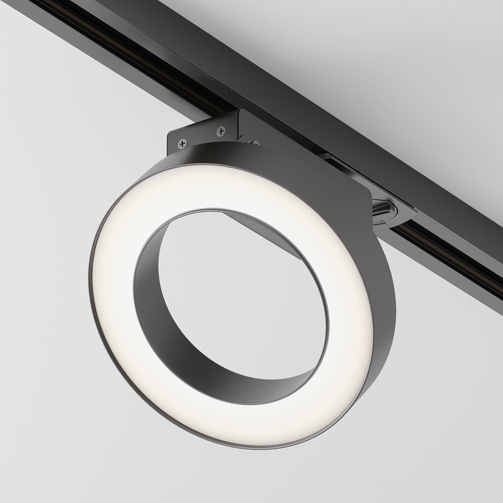 

Трековый светильник Technical Rim TR044-1-12W4K-B