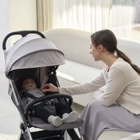Коляска прогулочная «книга» Ryan Prime Lite Max Af (modern gray)