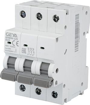 

Выключатель автоматический GEYA GYM9H-125-3P-125D 3P 125A D 10kA 3M GYM9H1253P125D