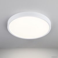 Светильник-тарелка Elektrostandard DLR034 24W 4200K