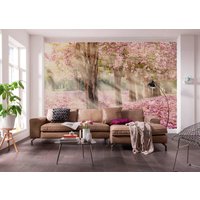 Фотообои Citydecor Сказочная природа 5 500х260 в Бресте