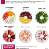 Сушилка для овощей и фруктов Мастерица EFD-0502VM (5 прозрачных поддонов и 1 поддон для пастилы)