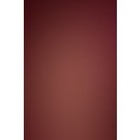 Трусы TOYFA 704020 (One Size) в Гомеле