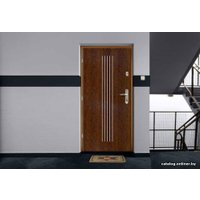 Металлическая дверь Gerda WX 10