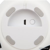 Ночник Neon-Night Панда 503-008