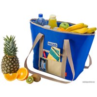 Термосумка БИОСТАЛЬ TB-30B 30л (синий)