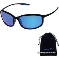 Солнцезащитные очки Norfin For Salmo Revo 02 NF-S2002