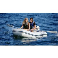 Моторно-гребная лодка BRIG Dingo D330W (серый)