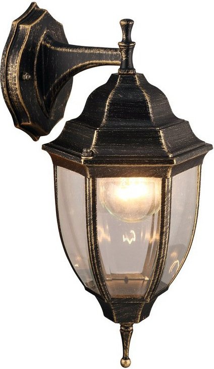 

Уличный настенный светильник Arte Lamp Pegasus A3152AL-1BN