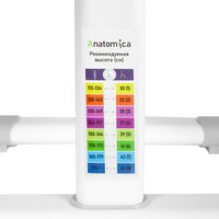 Ученический стол Anatomica Ara с подставкой для книг и выдвижным органайзером (белый/серый)