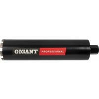 Коронка Gigant Алмазное GDSD-102450