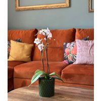 Кашпо Polnix 31.149.13 (зеленый)