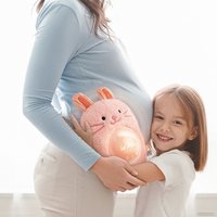 Музыкальная игрушка Hape Друг-кролик E0114