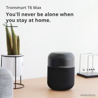 Беспроводная колонка Tronsmart T6 Max