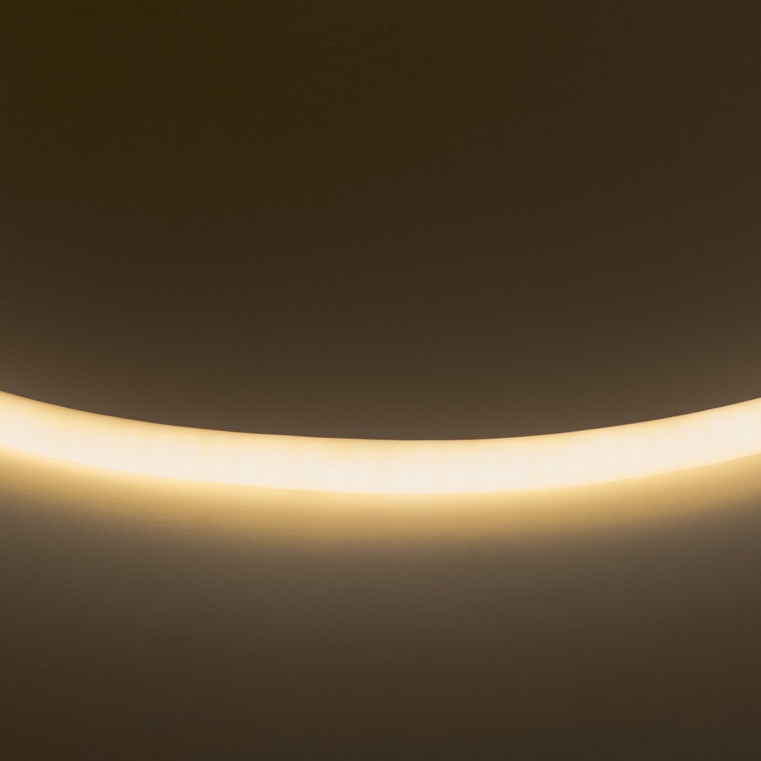 

Гибкий неон Lightstar Neoled 430202
