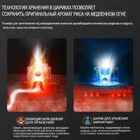 Рисоварка Xiaomi Mijia Induction Heating Rice Cooker 2 4L MFB2BM (с переходником на евровилку)