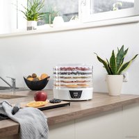 Сушилка для овощей и фруктов First FA-5126-8