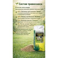 Семена АГРОСЕМСЕРВИС Солнечная поляна (10 кг)