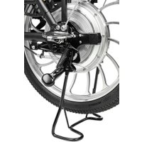 Электровелосипед MyWay Truck 1.0 350 20 (15, черный)