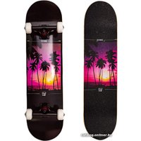 Скейтборд Z53 Miami 31.1"