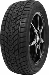 Winter WD1 185/60R15 84H