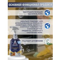 Средство для кухни Astonish для удаления жира 750 мл