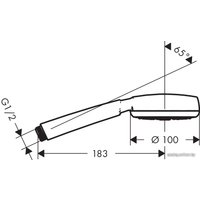 Душевая лейка Hansgrohe Crometta 100 1jet [26825400]