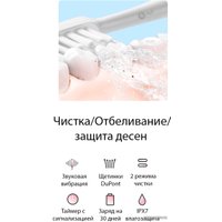 Электрическая зубная щетка Infly Sonic Electric Toothbrush P60 (1 насадка, серый)