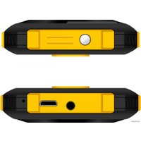 Кнопочный телефон F+ PR240 (черный/желтый)