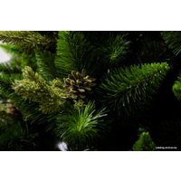 Сосна GreenTerra Рапсодия зеленая 2.2 м