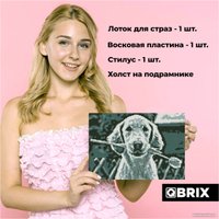 Алмазная мозаика  QBRIX Original 40004