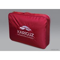 Спальная подушка Kariguz Чистый пух ЧП10-5 (68x68 см)