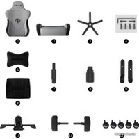 Игровое (геймерское) кресло AndaSeat T-Pro 2 (серый/черный)