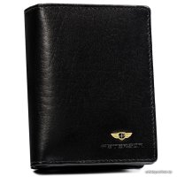 Кошелек Peterson PTN 2549-BO-1840 (черный)