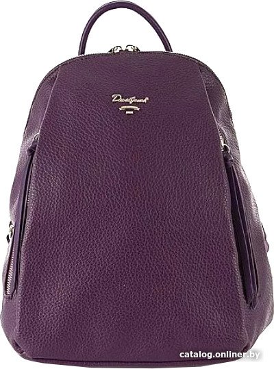 Городской рюкзак David Jones 823-CH21044E-PRP (фиолетовый)