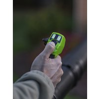 Садовая воздуходувка Greenworks GD40BPG2K4 2408107UB (с 1-им АКБ)